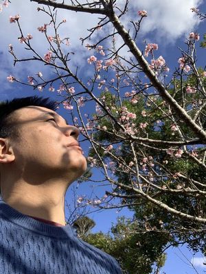 「沖縄リンパ整体 やすらぎ」の写真