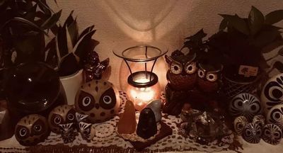 「癒し屋Awesome（オーサム）！！」の写真