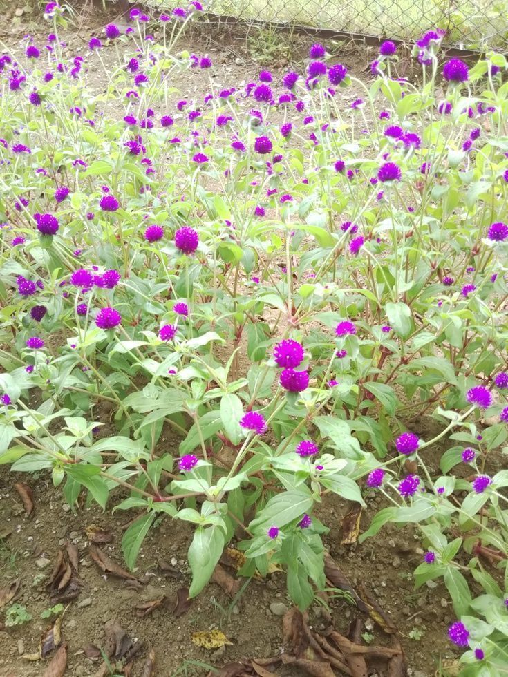 Cover photo of Relax massage