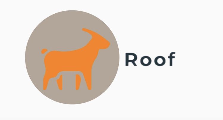 「新宿横浜 Roof ( & Rain )」のカバー写真