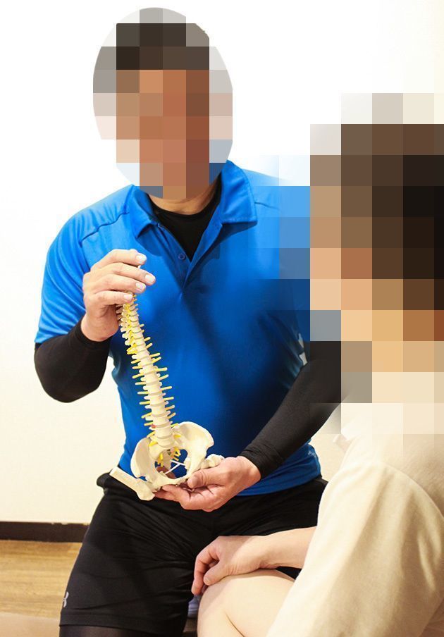 「SPORTS SEITAI WELLAS」のカバー写真