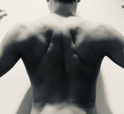 「NASHIRA」の写真